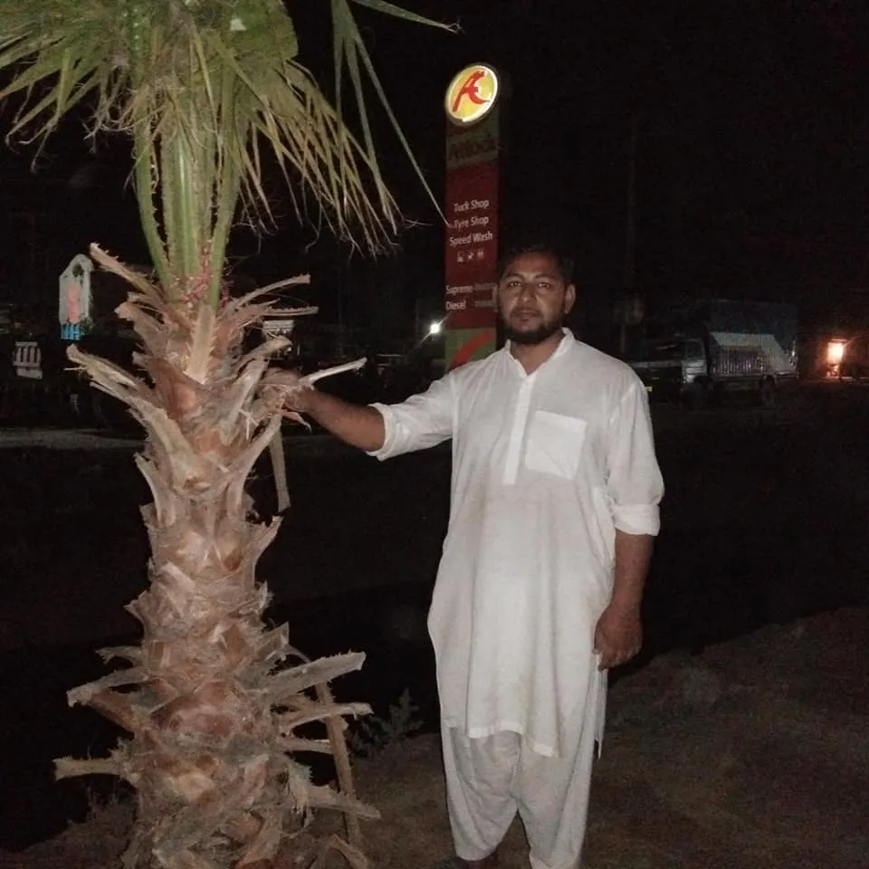 Green Seekers Activity